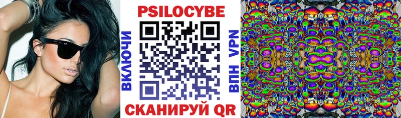 Галлюциногенные грибы Psilocybine cubensis  Купить где  Чишмы 